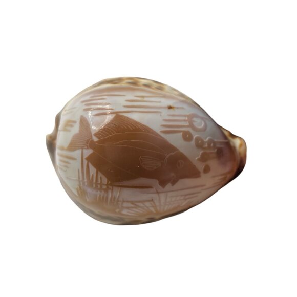 Hand-Carved Cowrie Shell With Fish Design Ocean Water Sea Life Decor Nautical - Picture 3 of 11
